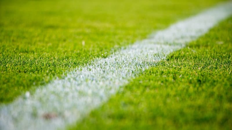 Saudi Roshn League Stars: The Global Galaxy That Changed the Game